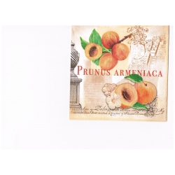 Serwetka -2243-